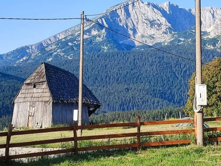 Durmitor Apartman Pitomine Žabljak Exteriör bild